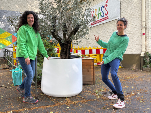 Yoko Ono’s wish tree bei KRASS