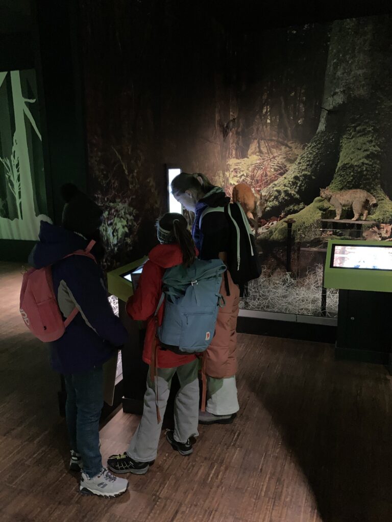 Die Kinder besuchen die Ausstellung im Hunsrückhaus. 