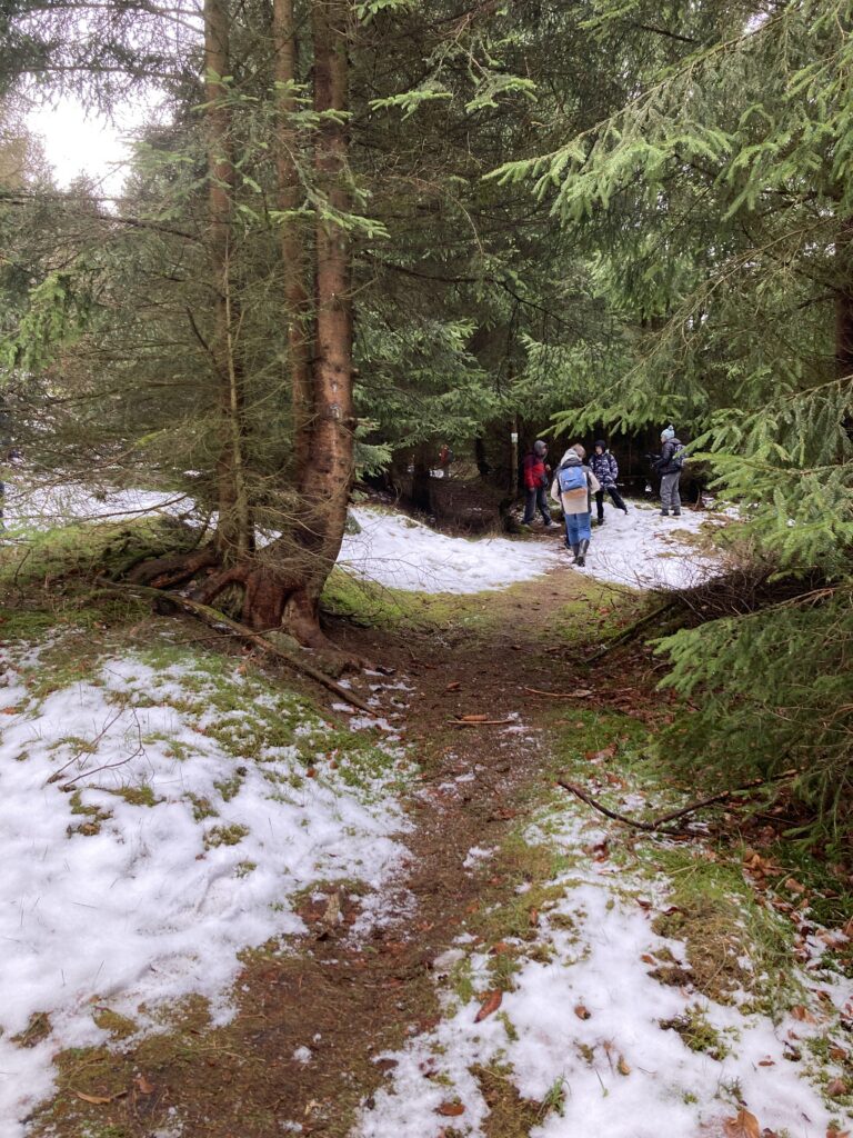 Wanderung durch den Nationalpark Hunsrück